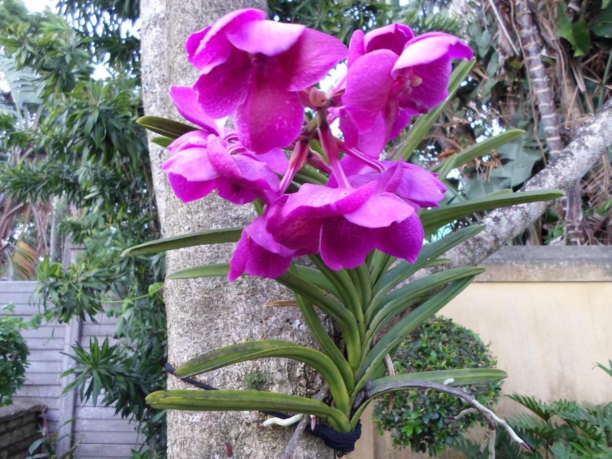 Bedfordview Bandb Luaran gambar